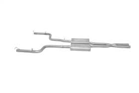 Cat-Back Dual Exhaust System 617011